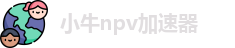 小牛npv加速器